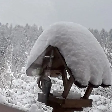 Pod 5 Bed & Breakfast 3*