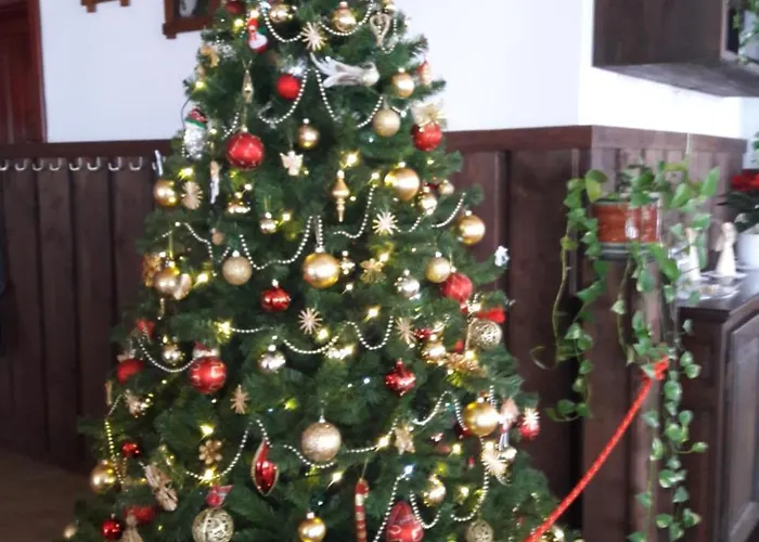 Pod 5 3* 卡尔帕奇