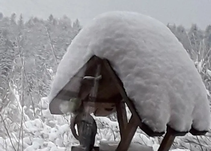 Pod 5 Отель типа 